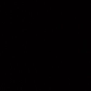 Meet your Posher, Colleen